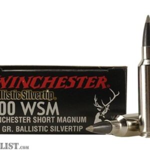 Winchester BALLISTIC SILVERTIP .300 Winchester Magnum 180 grain - 500 Rounds