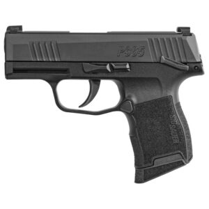 Sig Sauer P365-380 .380 ACP Pistol with Safety