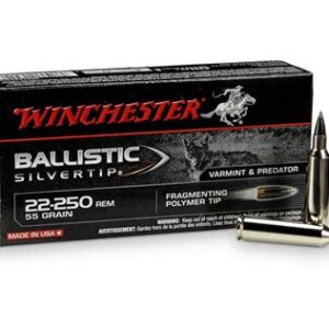 Winchester BALLISTIC SILVERTIP .22-250 Remington 55 grain Fragmenting Polymer Tip SBST22250B, 500 Rounds