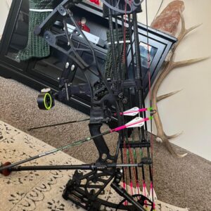 Hoyt bowHoyt bow