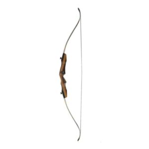 Galaxy Sage Takedown Recurve Bow